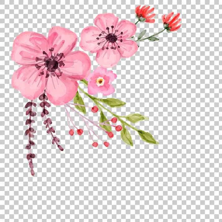 Detail Flower Png File Nomer 27