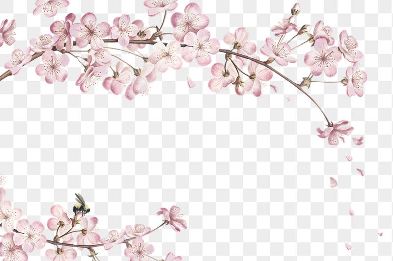 Detail Flower Png File Nomer 31