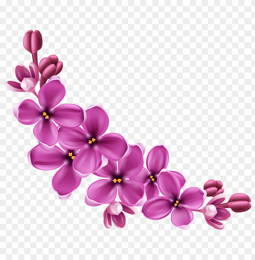 Detail Flower Png File Nomer 39
