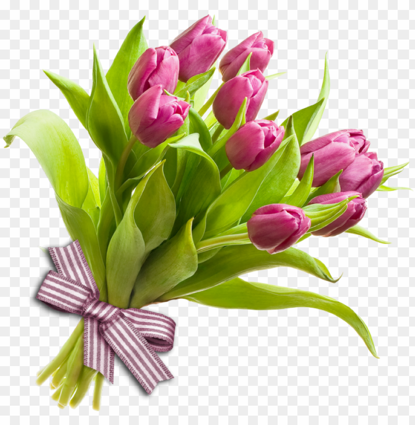 Detail Flower Png File Nomer 41