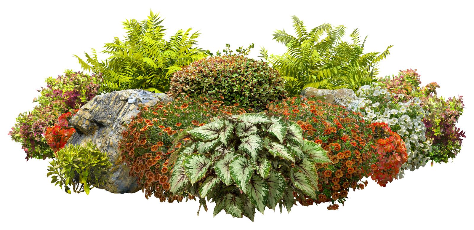 Detail Flower Png File Nomer 44