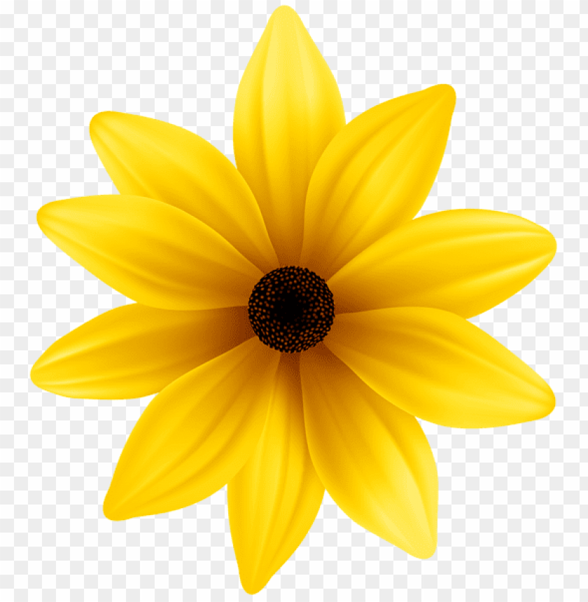 Detail Flower Png File Nomer 45