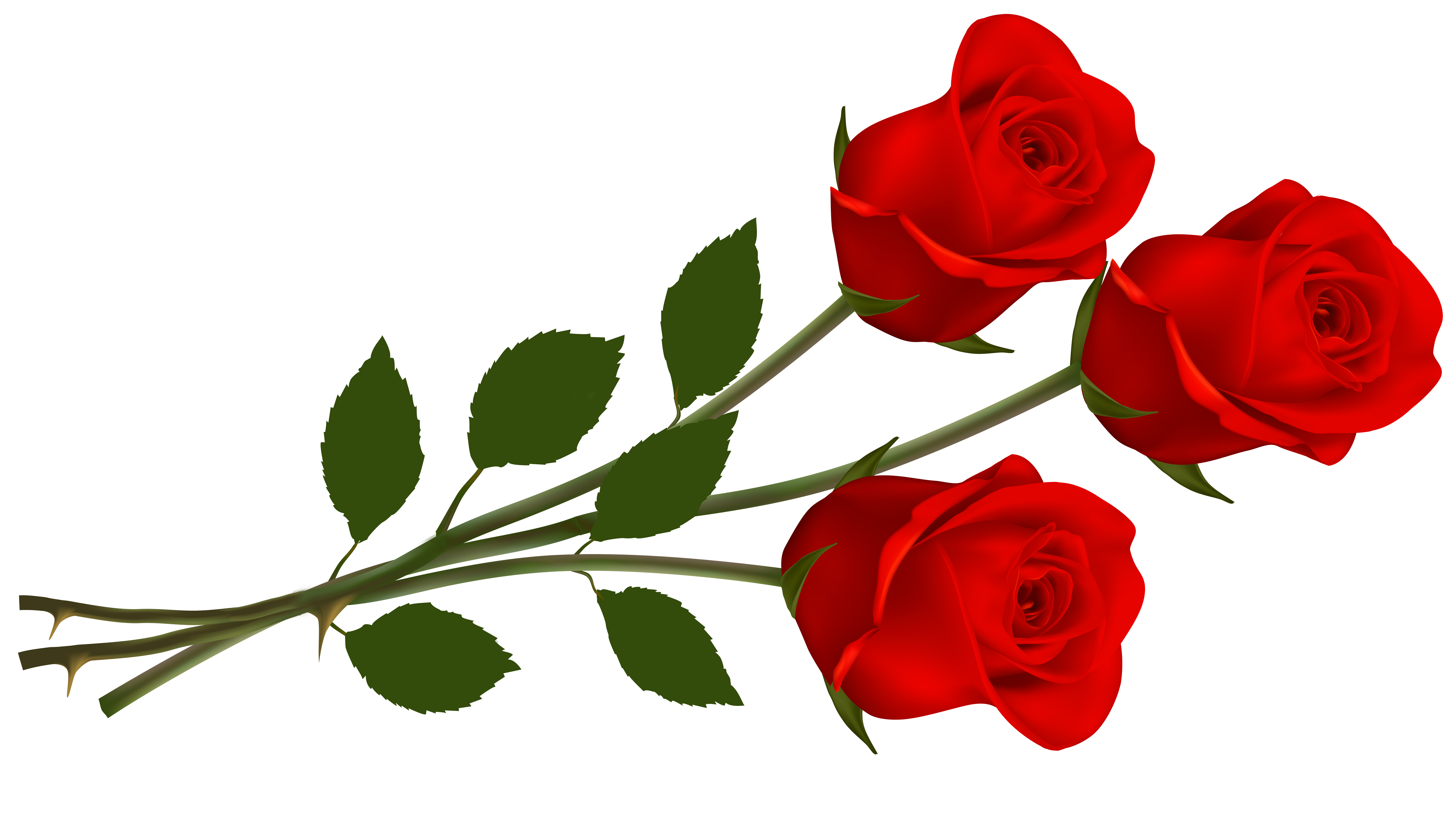 Detail Flower Png File Nomer 46