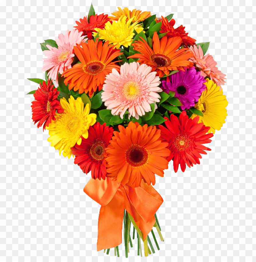 Detail Flower Png File Nomer 47