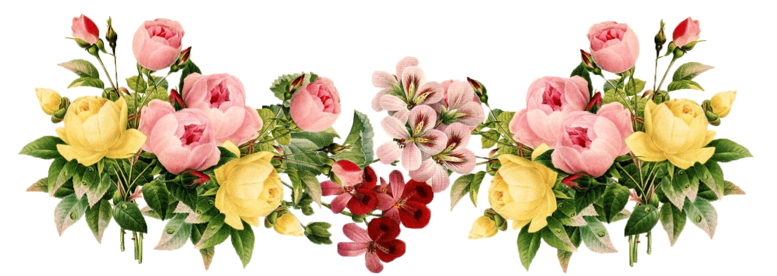 Detail Flower Png File Nomer 48