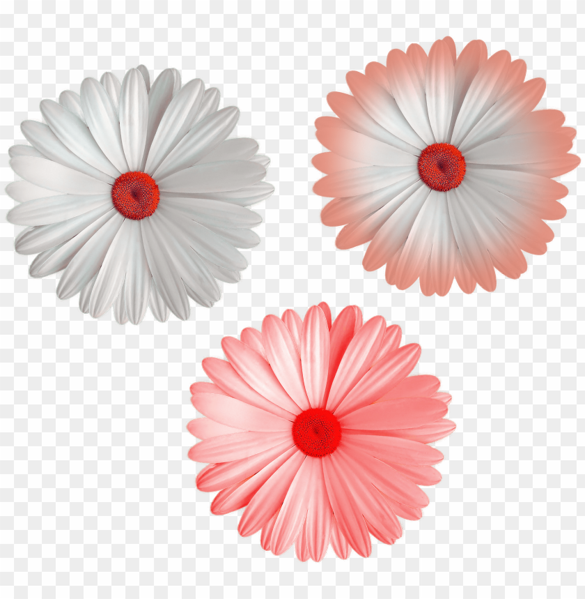 Detail Flower Png File Nomer 52
