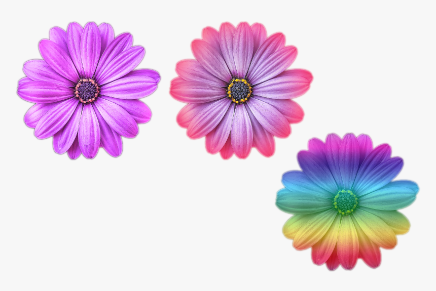 Detail Flower Png Files Nomer 17