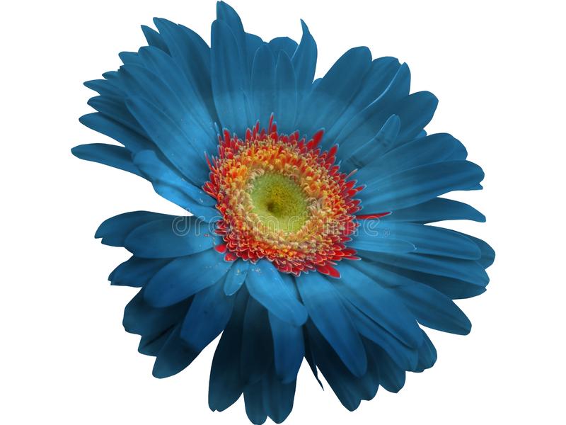 Detail Flower Png Files Nomer 21