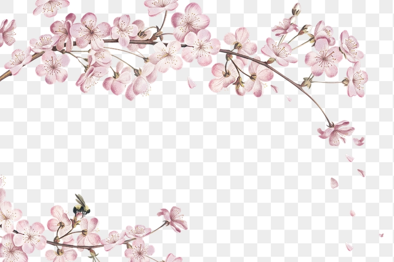 Detail Flower Png Images Nomer 24