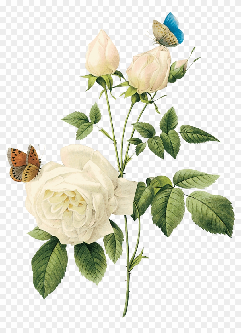 Detail Flower Png Transparent Nomer 14