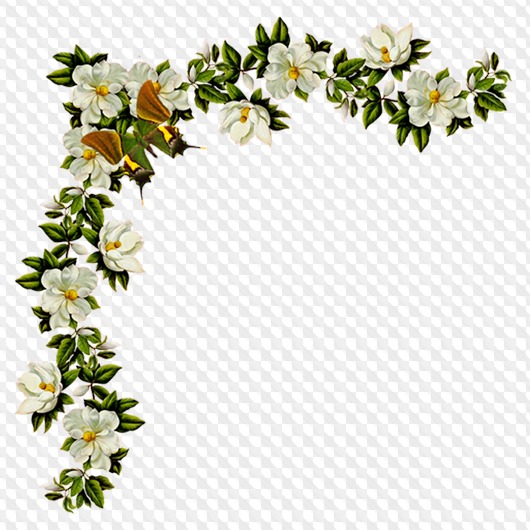 Detail Flower Png Transparent Nomer 29