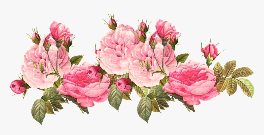 Detail Flower Png Transparent Nomer 49