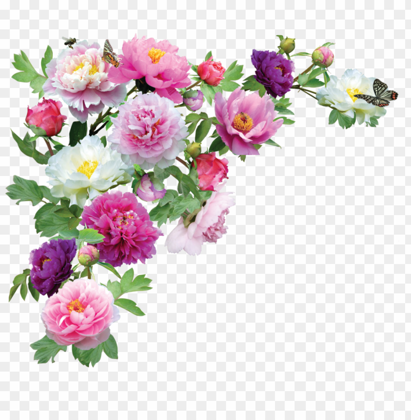 Detail Flower Png Transparent Nomer 7