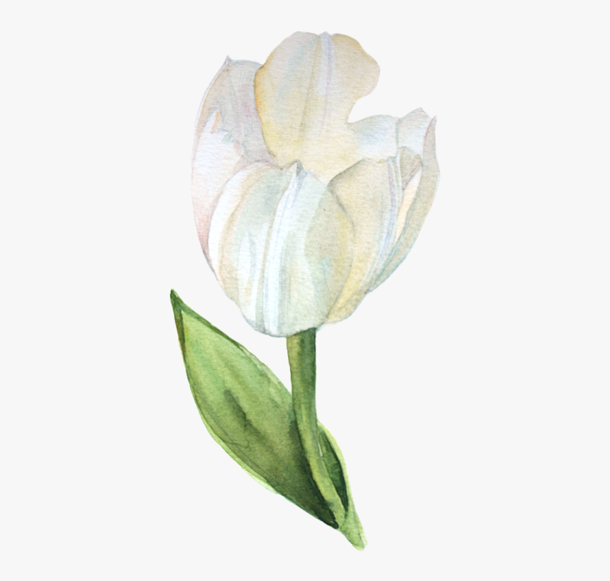 Detail Flower Png Watercolor Nomer 30