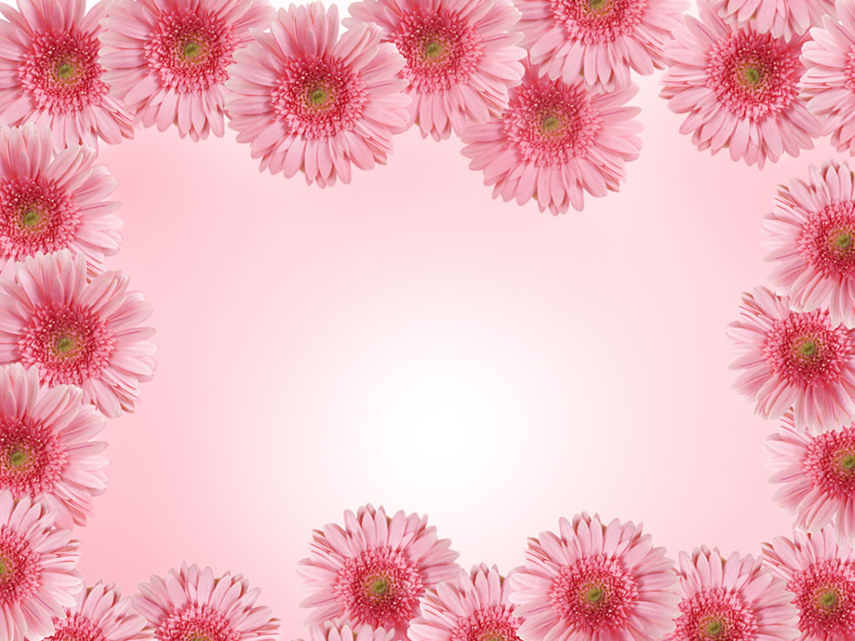Detail Flower Ppt Nomer 17