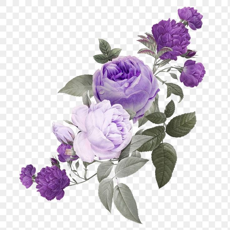 Detail Flower Purple Png Nomer 12