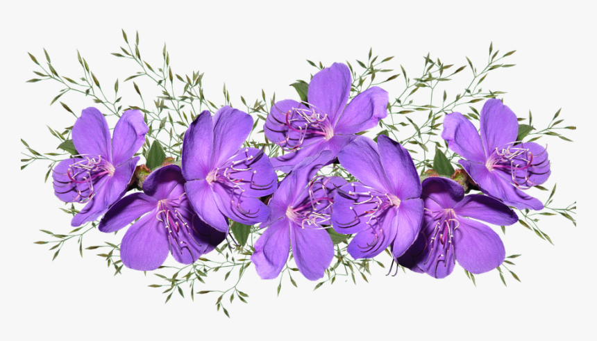 Detail Flower Purple Png Nomer 15