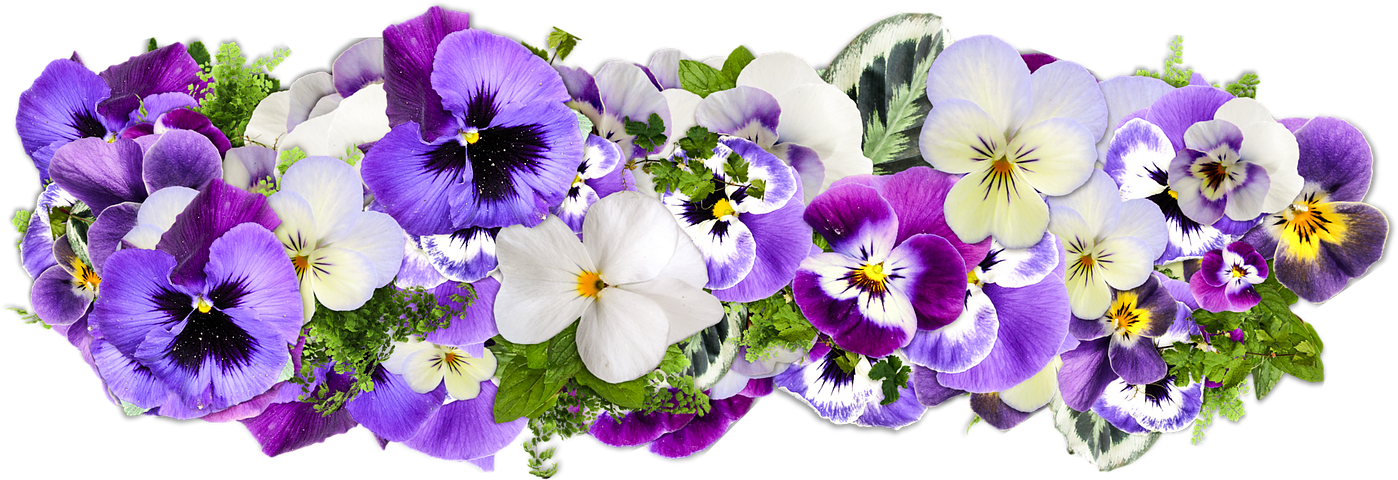 Detail Flower Purple Png Nomer 29