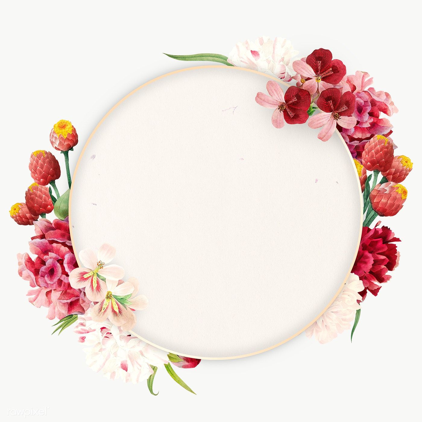 Flower Round Frame Png - KibrisPDR