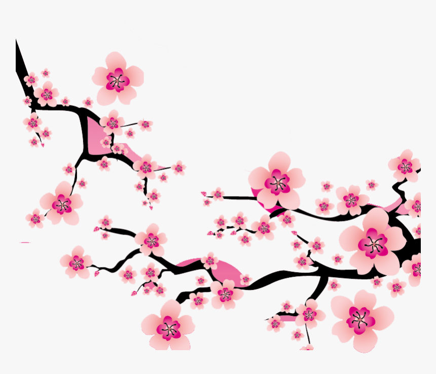 Detail Flower Sakura Png Nomer 22