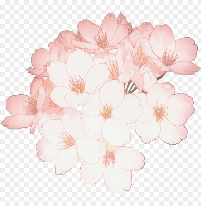 Detail Flower Sakura Png Nomer 36