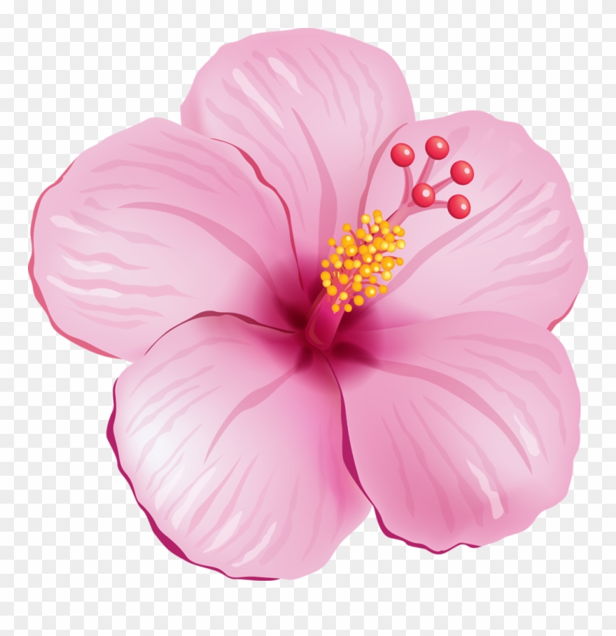 Detail Flower Transparent Nomer 44