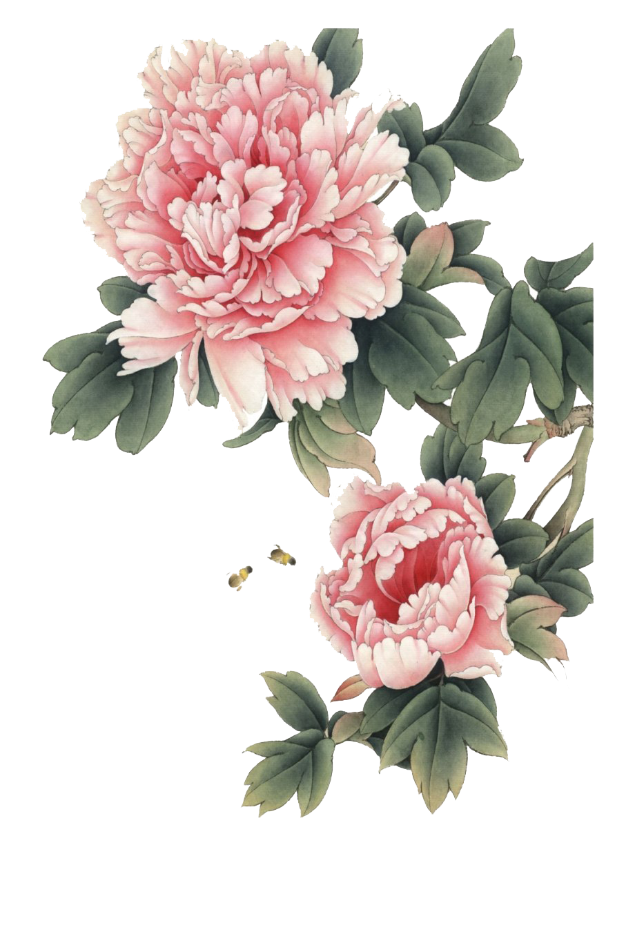 Detail Flower Transparent Background Nomer 23