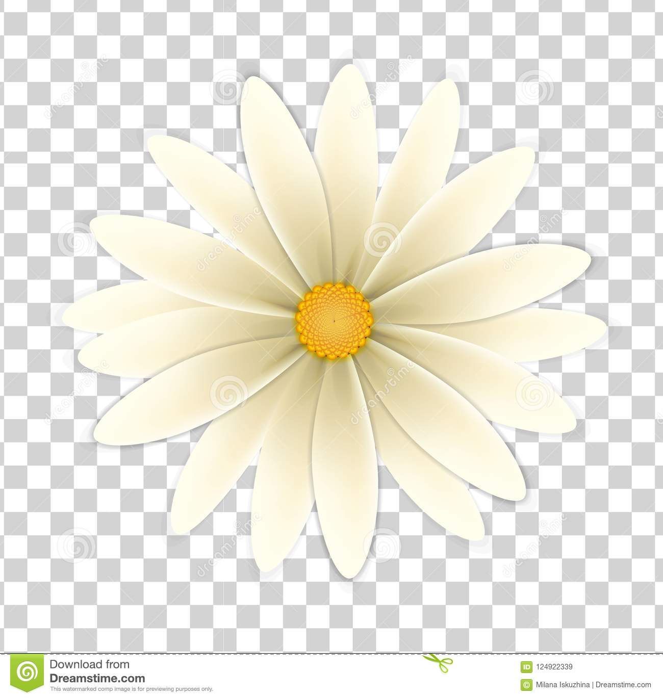 Detail Flower Transparent Background Nomer 3