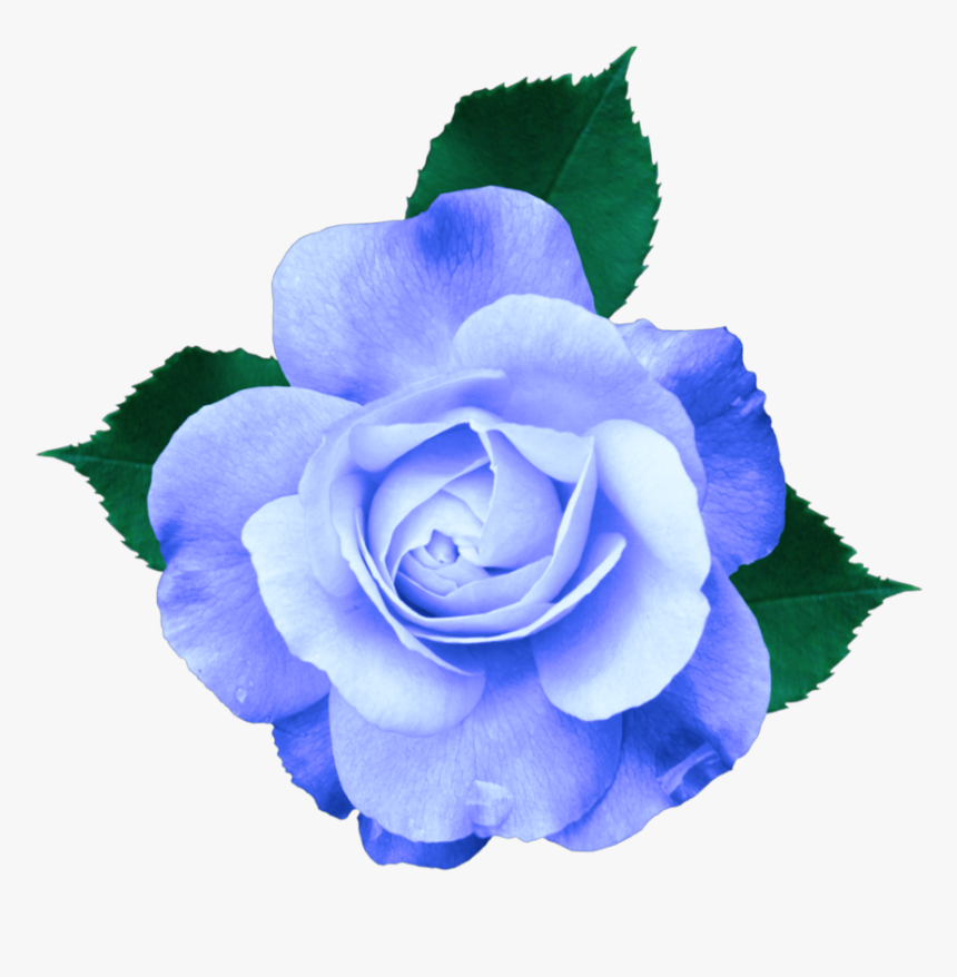 Detail Flower Transparent Background Nomer 27
