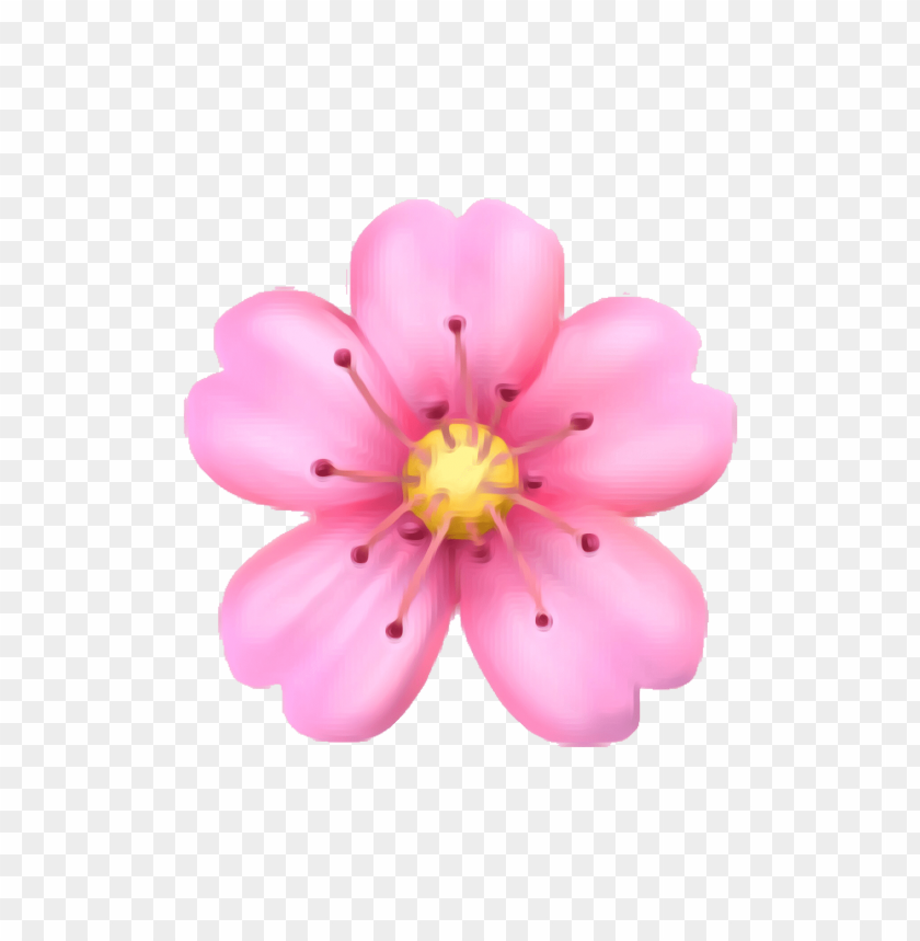 Detail Flower Transparent Background Nomer 31