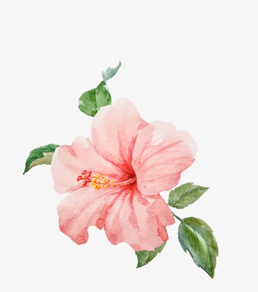 Detail Flower Transparent Background Nomer 34