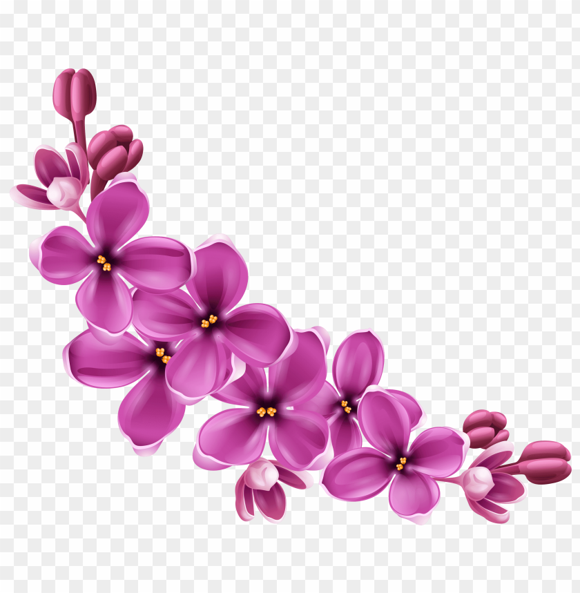 Detail Flower Transparent Background Nomer 37