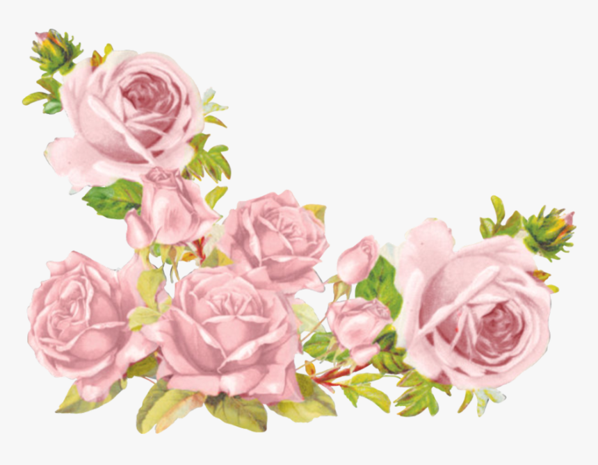 Detail Flower Transparent Background Nomer 45