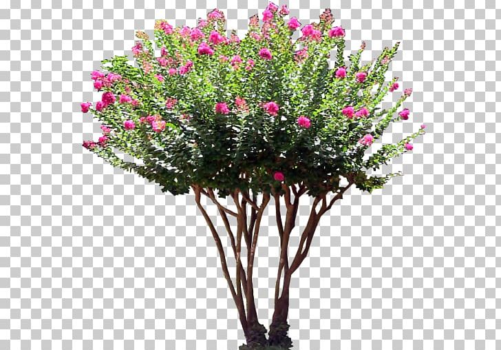 Detail Flower Tree Png Nomer 17