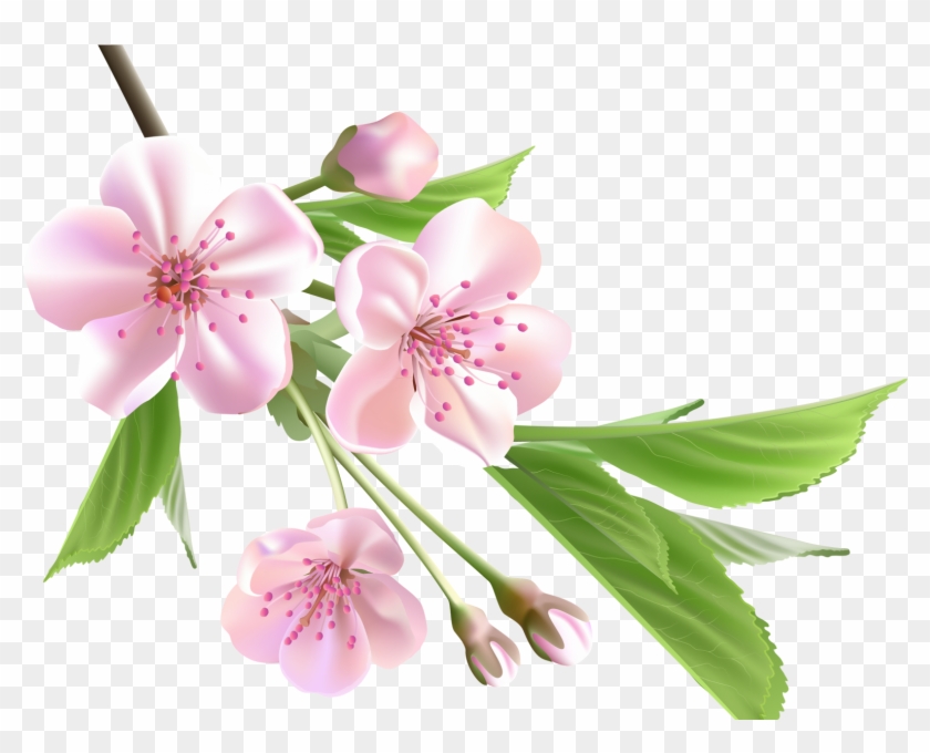 Detail Flower Tree Png Nomer 26