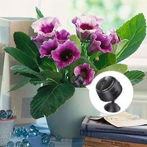 Detail Flower Vase Spy Camera Nomer 21