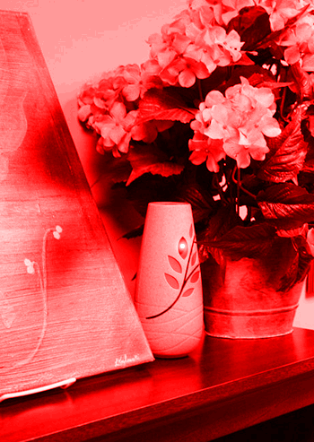 Detail Flower Vase Spy Camera Nomer 42