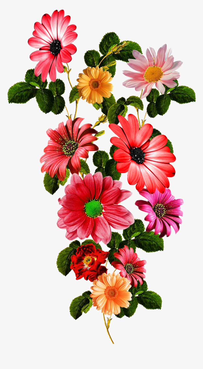 Detail Flower Vector Hd Nomer 5