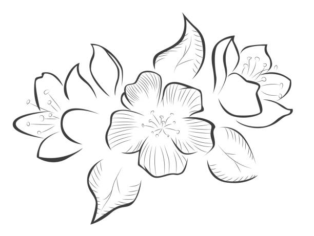 Detail Flower Vector Png Nomer 39