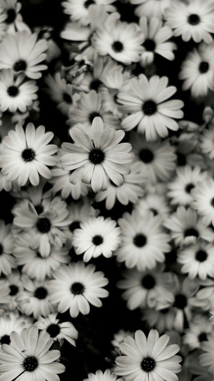 Detail Flower Wallpaper Iphone Nomer 20