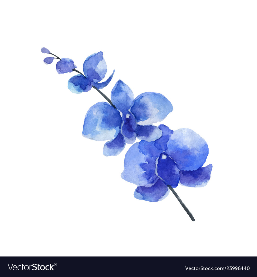 Detail Flower Watercolor Blue Nomer 4