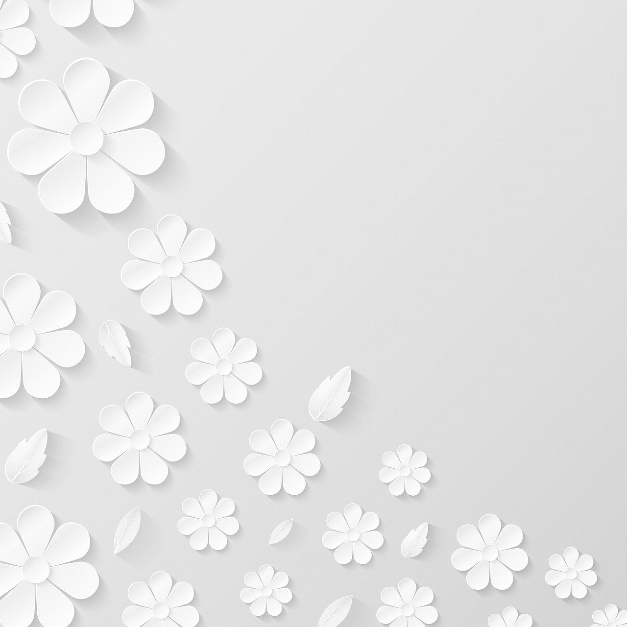 Detail Flower White Background Nomer 3