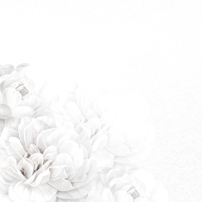 Detail Flower White Background Nomer 24