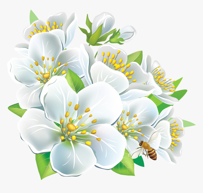 Detail Flower White Png Nomer 9