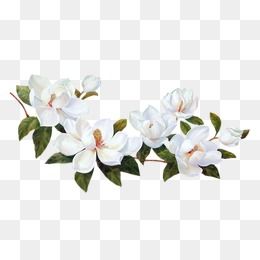 Detail Flower White Png Nomer 10