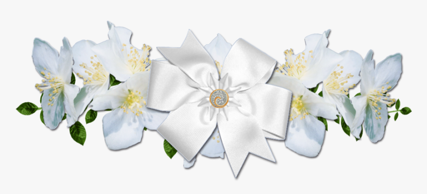 Detail Flower White Png Nomer 24