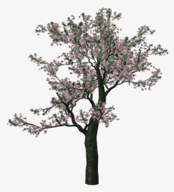 Detail Flowering Tree Png Nomer 40
