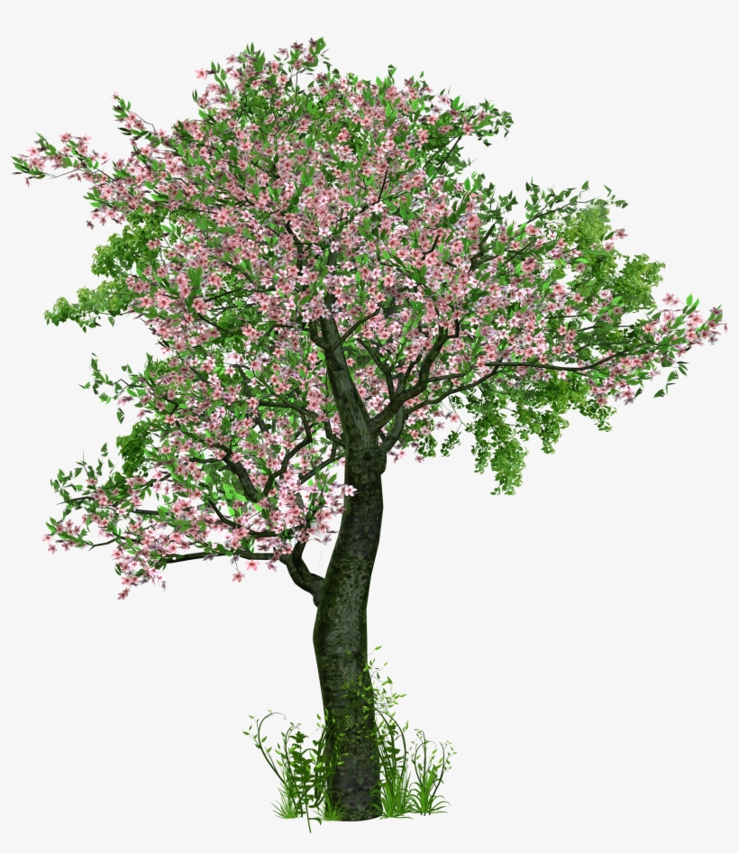Detail Flowering Tree Png Nomer 7