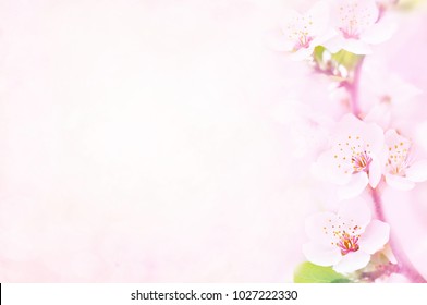 Detail Flowers Background Hd Nomer 27