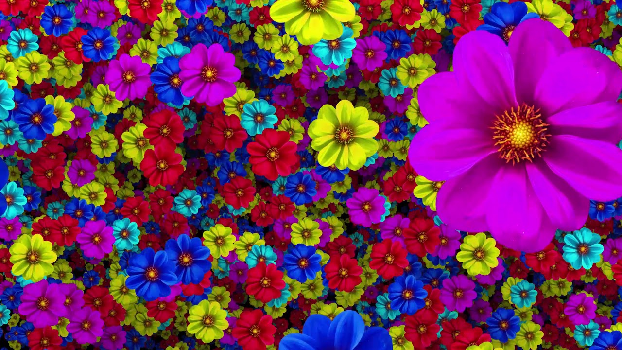 Detail Flowers Background Hd Nomer 31